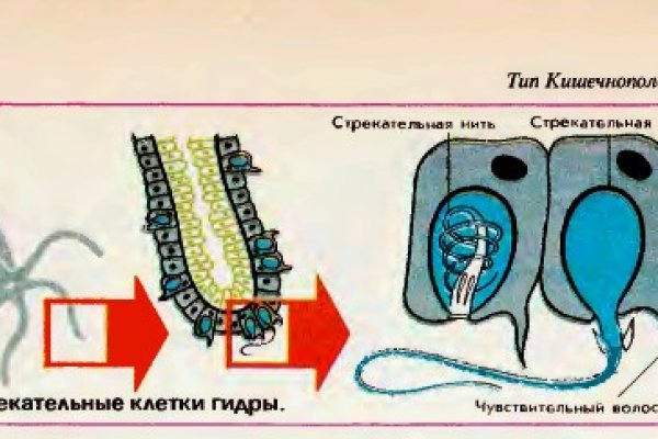 Кракен не заходит